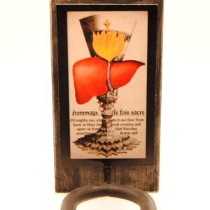 The Sacred Liver Guitar Hook